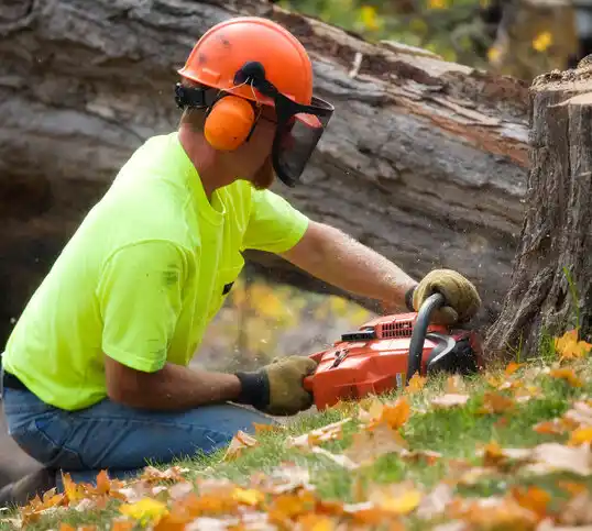 tree services Lyle